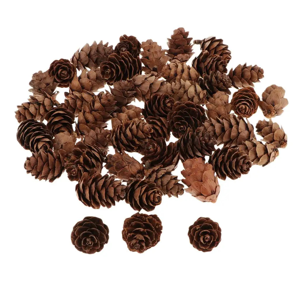 Small Natural Pine Cones — 60 Pieces | Wreaths, Vase Fillers & Nature-Inspired Crafts