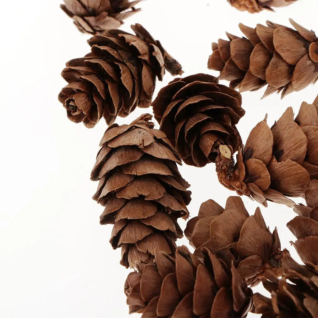 Small Natural Pine Cones — 60 Pieces | Wreaths, Vase Fillers & Nature-Inspired Crafts
