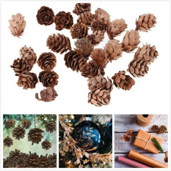 Small Natural Pine Cones — 60 Pieces | Wreaths, Vase Fillers & Nature-Inspired Crafts