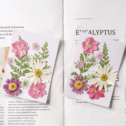 Dried Pressed Flower Specimens — 10 Pieces | DIY Resin, Phone Cases, Journaling & Floral Art