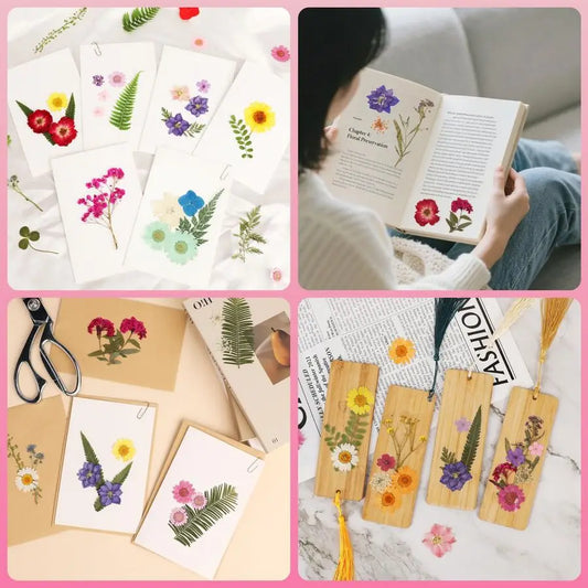 420-Piece Dried Pressed Flowers Set — 12 Varieties, Real Botanicals for Resin, Crafts & Home Décor
