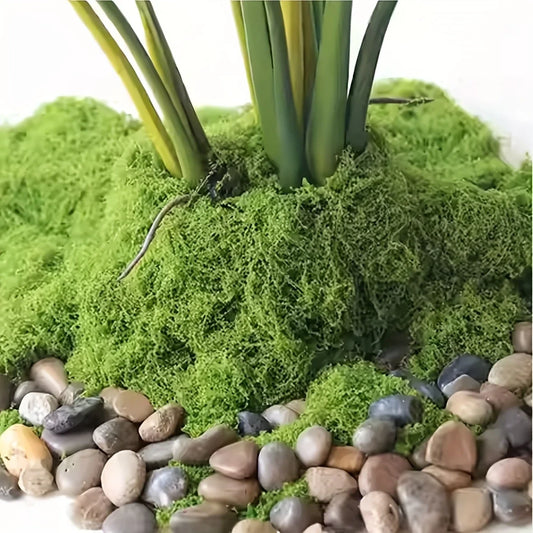 Artificial Moss — 50g Faux Preserved Moss for Terrariums, Wreaths, Miniature Landscapes & Home Décor