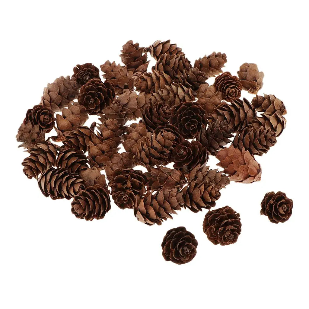 Small Natural Pine Cones — 60 Pieces | Wreaths, Vase Fillers & Nature-Inspired Crafts