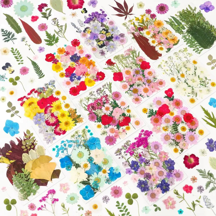 420-Piece Dried Pressed Flowers Set — 12 Varieties, Real Botanicals for Resin, Crafts & Home Décor