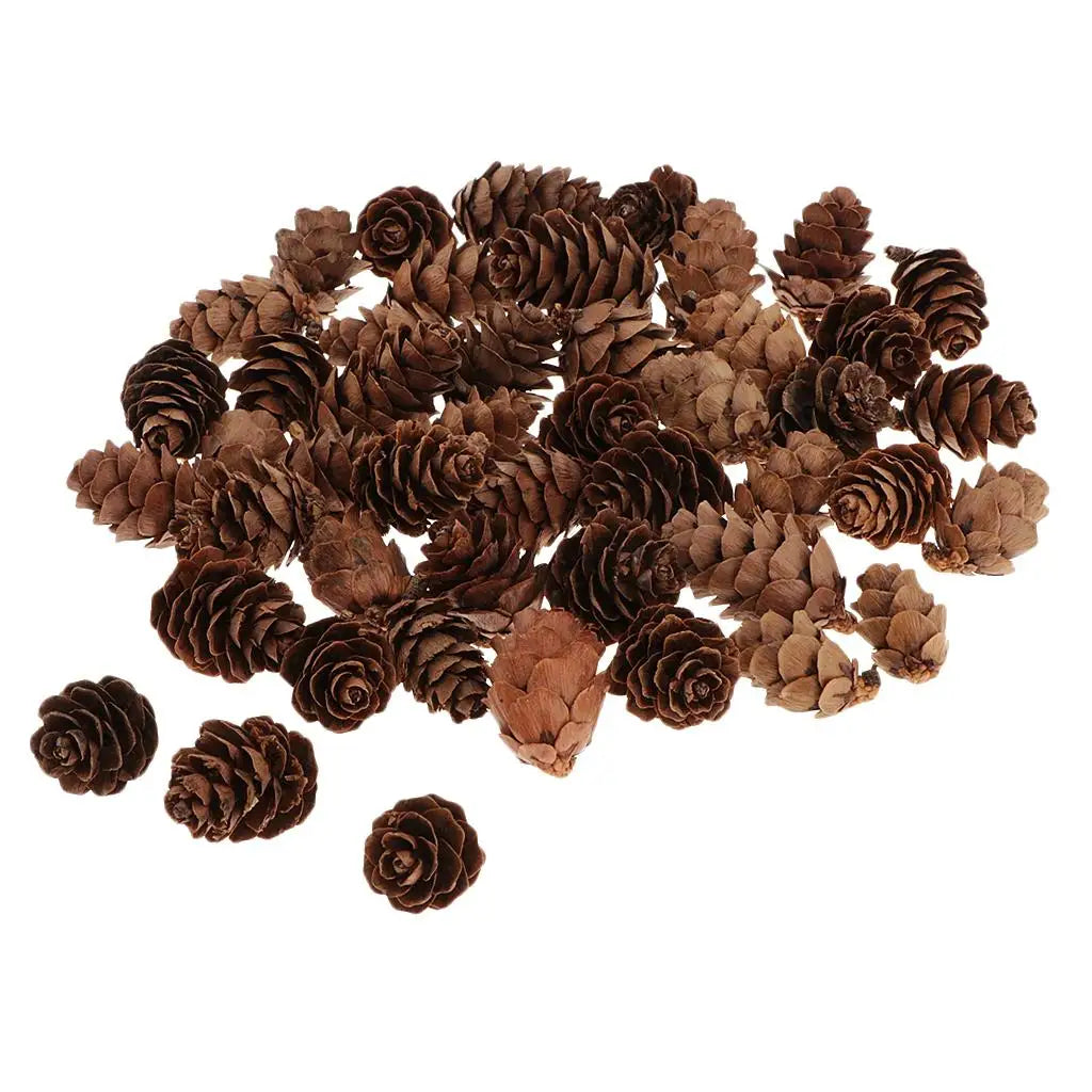 Small Natural Pine Cones — 60 Pieces | Wreaths, Vase Fillers & Nature-Inspired Crafts