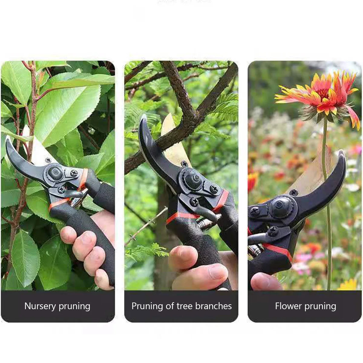 Professional Garden Pruning Shears — Steel Hand Pruner for Shrubs, Branches & Orchard Trimming