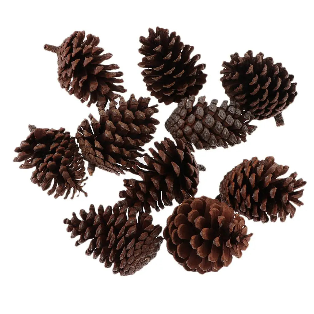 Natural Pine Cones — Pack of 10 | Large Rustic Cones for Wreaths, Seasonal Decor & Handmade Crafts