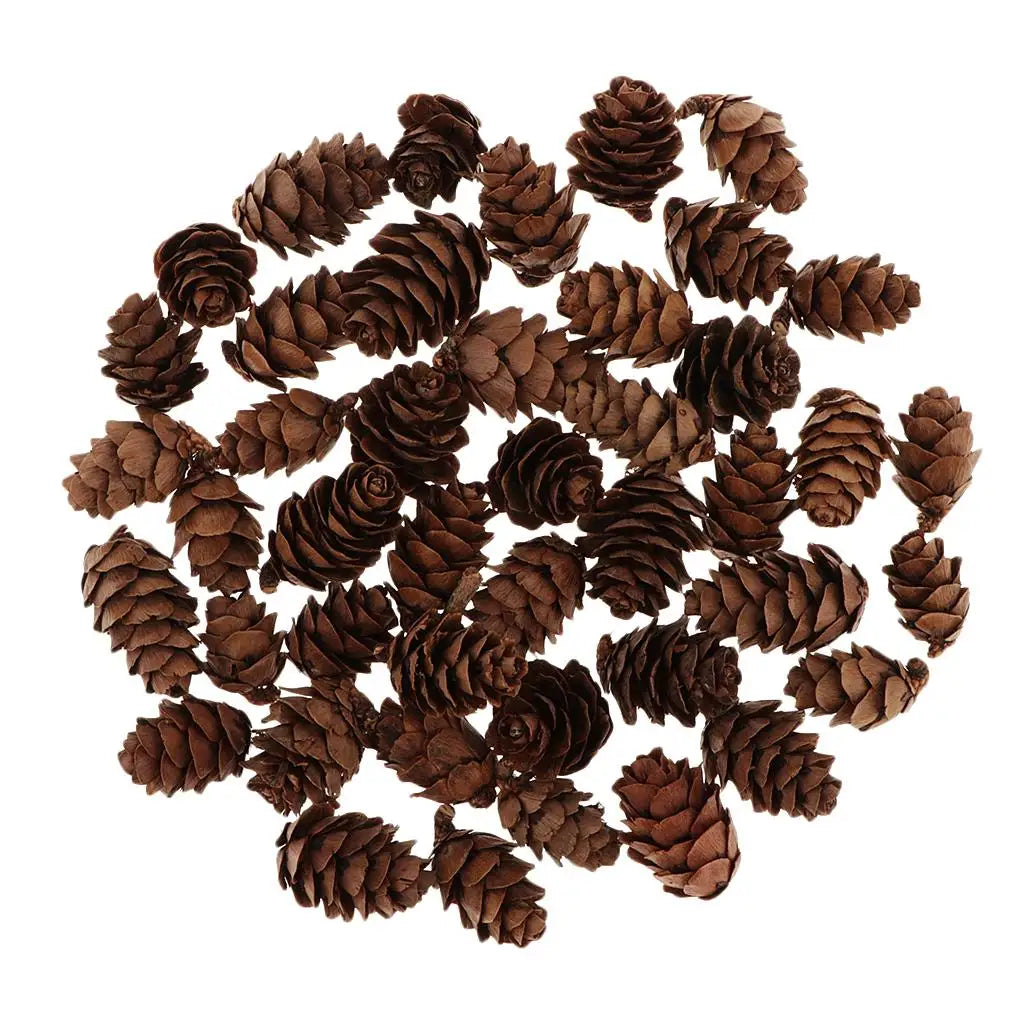 Small Natural Pine Cones — 60 Pieces | Wreaths, Vase Fillers & Nature-Inspired Crafts