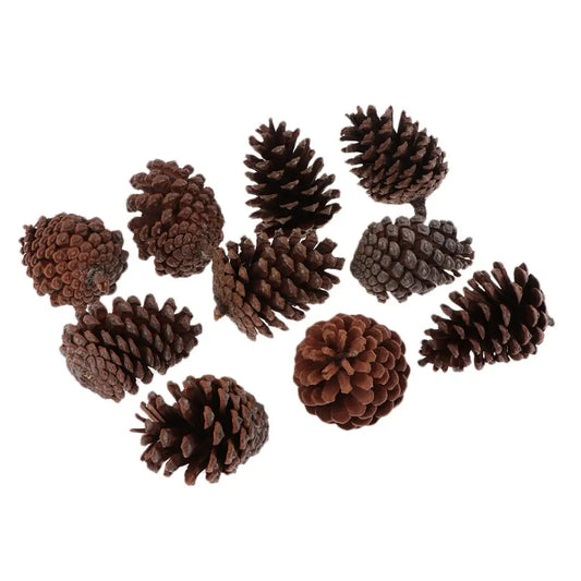 Natural Pine Cones — Pack of 10 | Large Rustic Cones for Wreaths, Seasonal Decor & Handmade Crafts