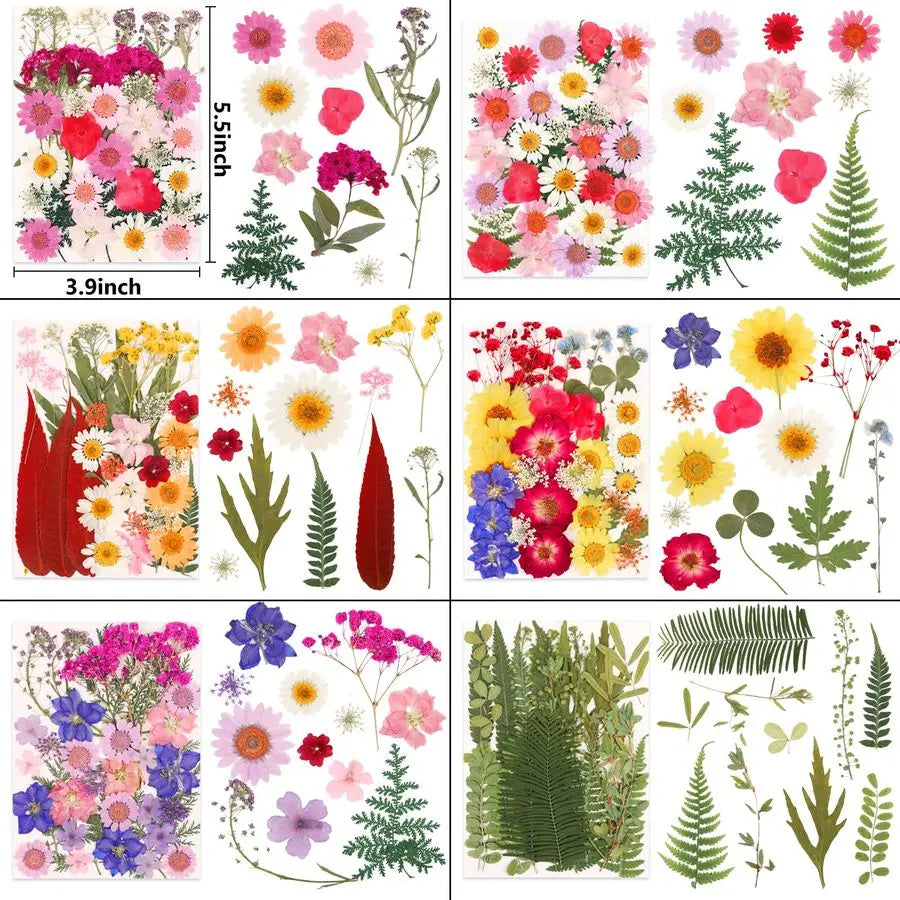 420-Piece Dried Pressed Flowers Set — 12 Varieties, Real Botanicals for Resin, Crafts & Home Décor