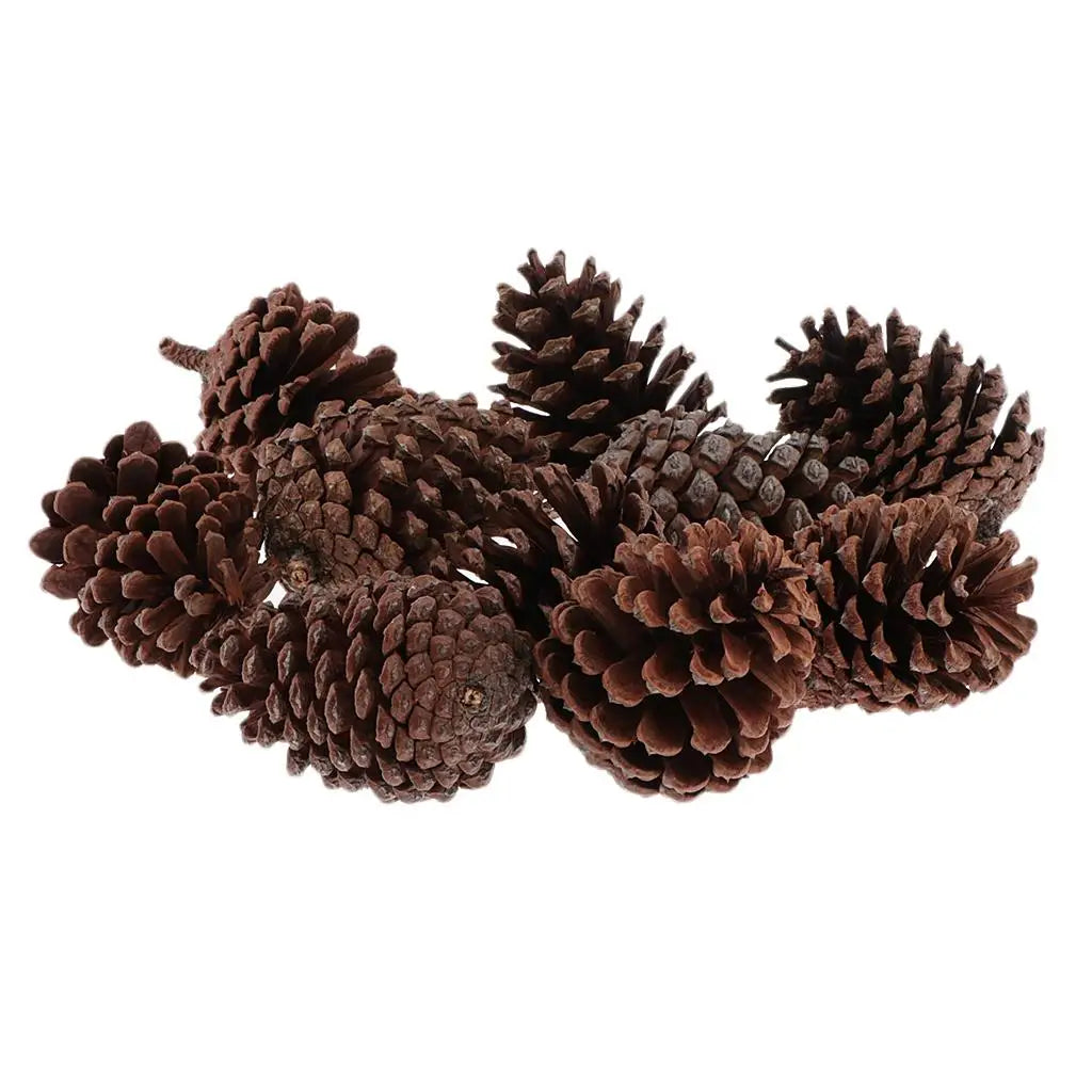Natural Pine Cones — Pack of 10 | Large Rustic Cones for Wreaths, Seasonal Decor & Handmade Crafts