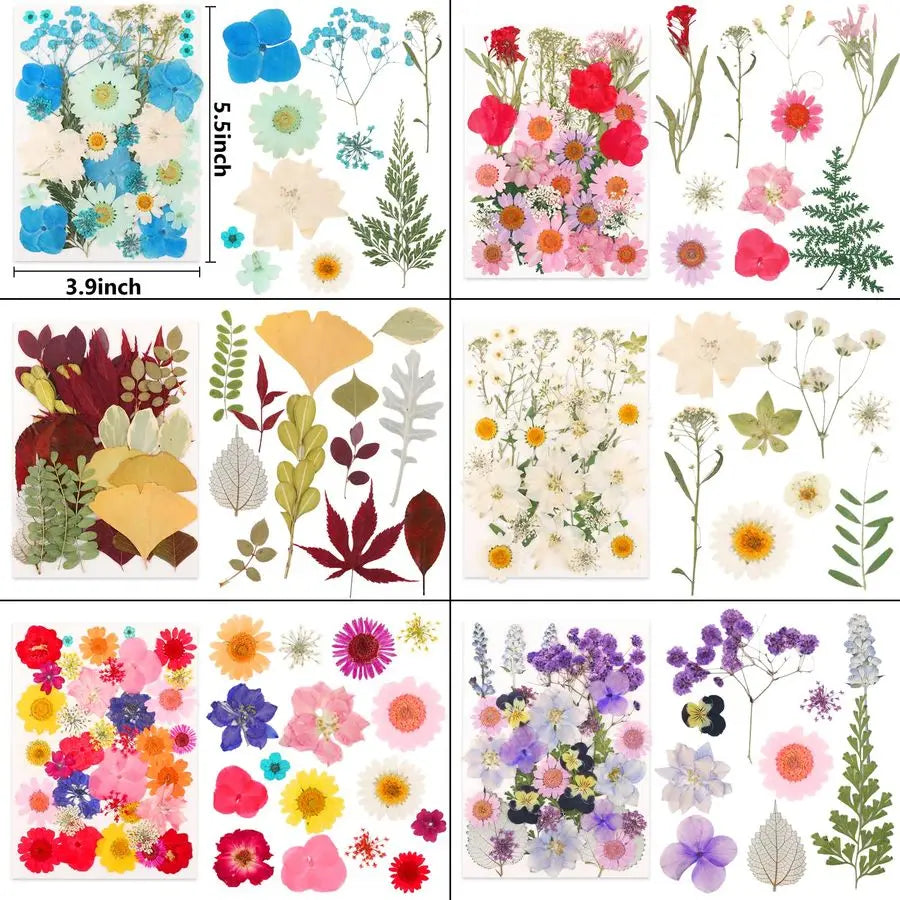 420-Piece Dried Pressed Flowers Set — 12 Varieties, Real Botanicals for Resin, Crafts & Home Décor